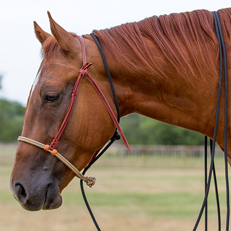 How to Safely Tie Your Horse Using Mecate Reins